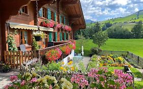 Alpenchalet Spiher Ferienwohnung-Studio und ein weiteres Schlafzimmer